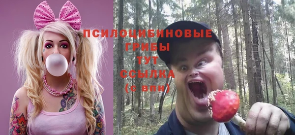 амфетамин Белокуриха