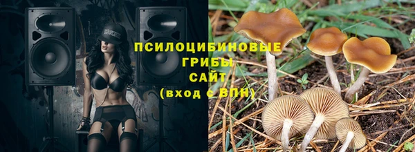 амфетамин Белокуриха